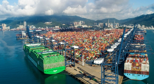 2024年5月广东各都会到天津海内海运价钱_门到门报价  --  bevictor伟德官网物流