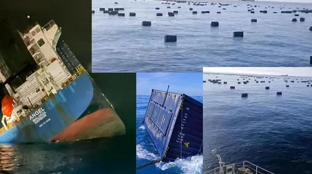 本期（11月16~22日）中海内贸集运指数报1439点，，，环比下跌2点  --  bevictor伟德官网物流