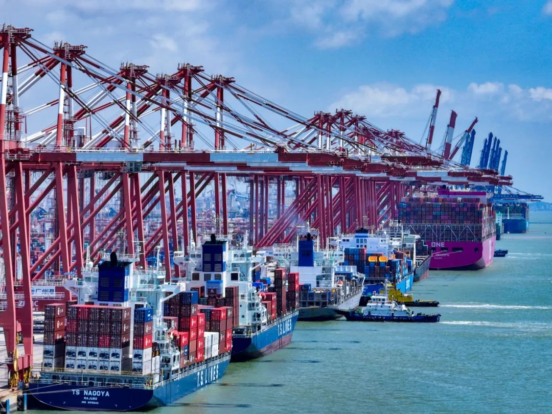 2月下旬广东各都会到浙江宁波、温州、嘉兴海运报价-bevictor伟德官网物流