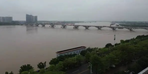 12月9~15日本期中海内贸集装箱运价指数小幅下跌报1148点  --  bevictor伟德官网物流