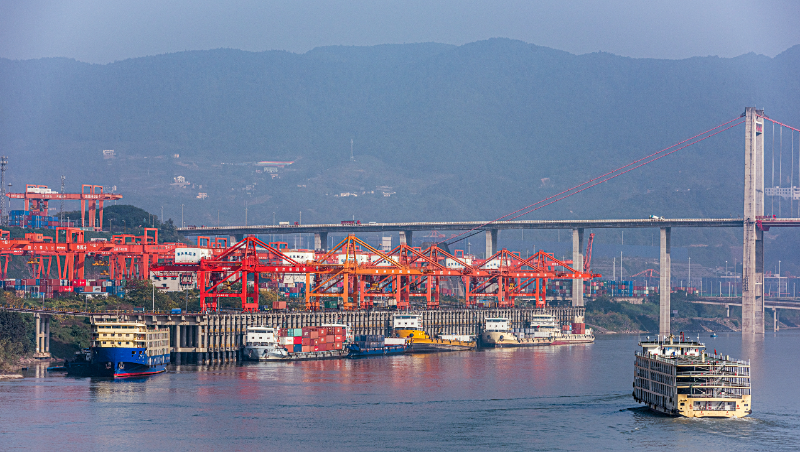2023年2月28日~3月5日肇庆至山东各口岸内贸海运运费报价  --  bevictor伟德官网物流