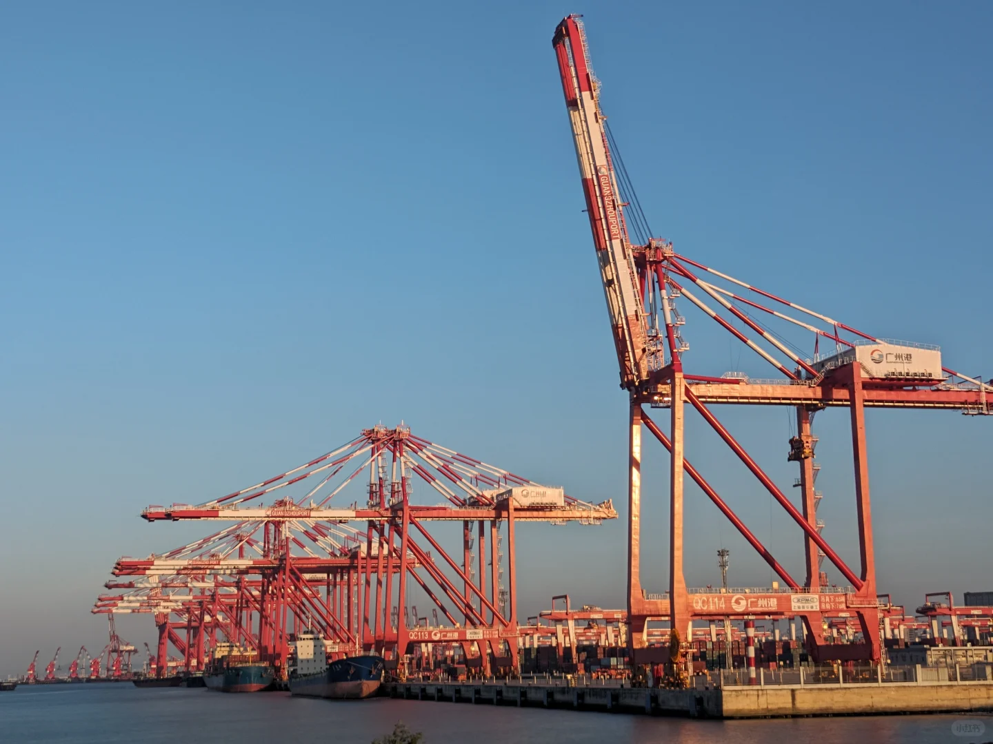 怎样明确海运中的“甩柜”？？？？？