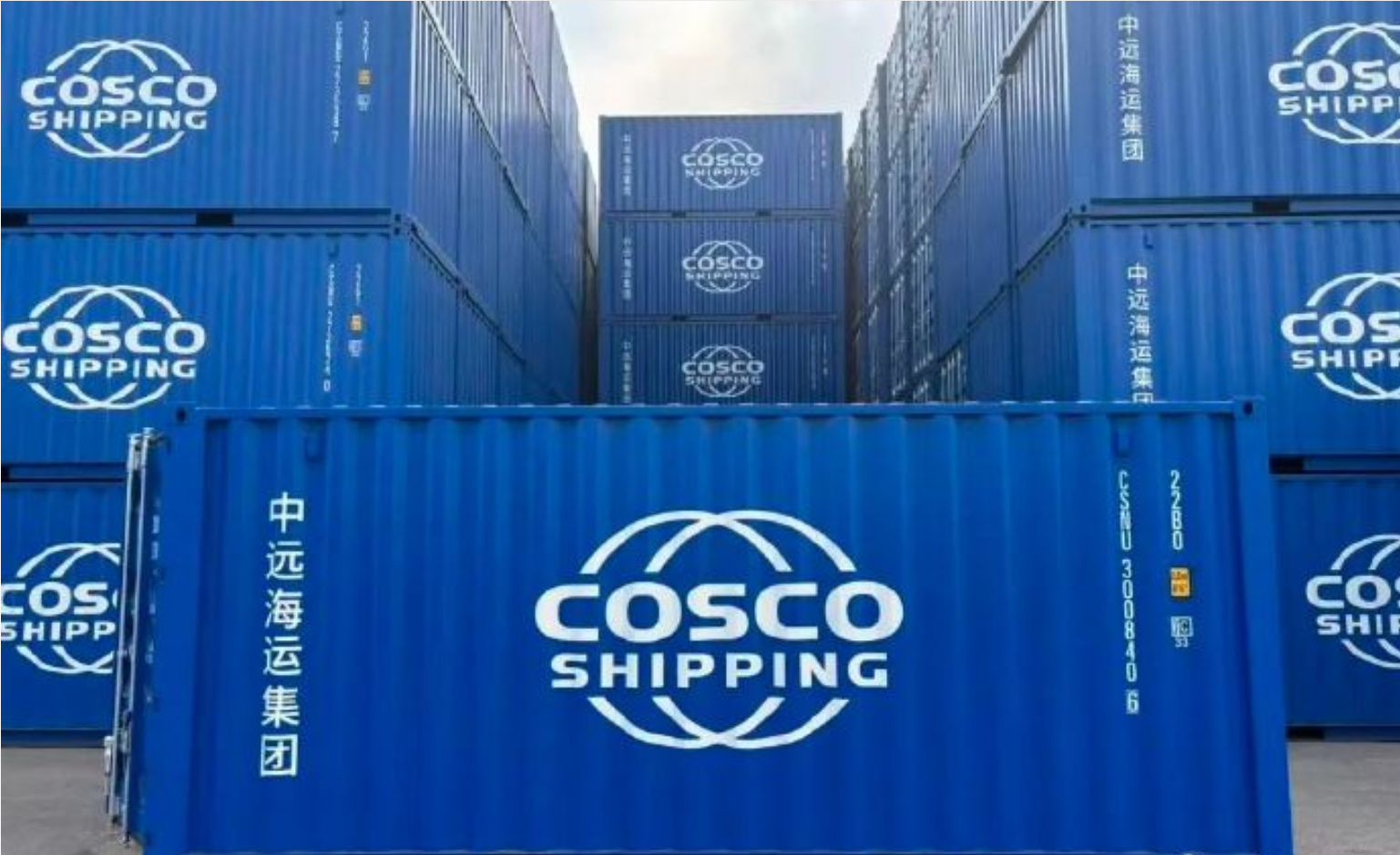 bevictor伟德官网·(中国)唯一官方网站