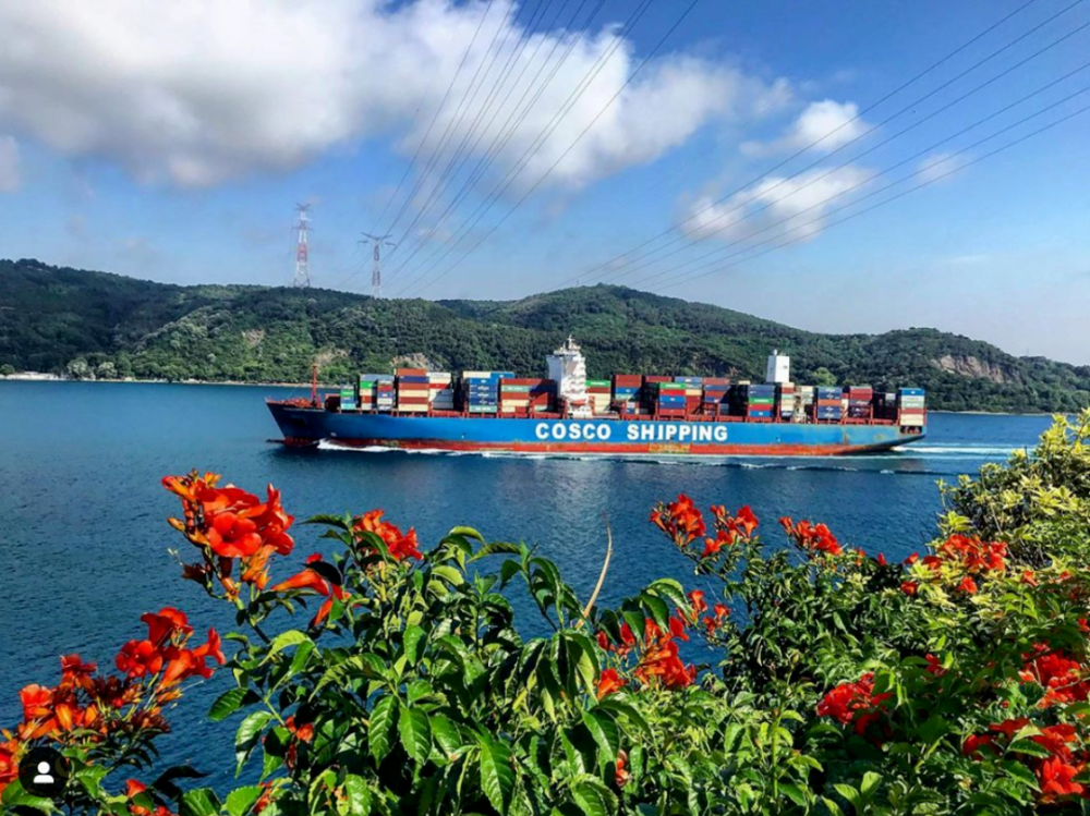 bevictor伟德官网·(中国)唯一官方网站